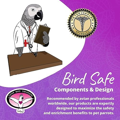 Super Bird Creations SB1184 Jolly Jingler Bird Toy - Enrichment Wooden Bird Toy - Satisfies Bird Chewing Instincts Parrots Ringnecks Medium Conures Quakers - Bird Toy for Medium Sized Birds, 8.5"x4"