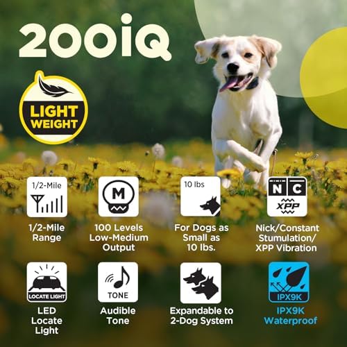 Dogtra 200iQ Remote Training E Collar – 100 Levels, Tone, Vibration, 1/2 Mile Range – Compact, Waterproof, One-Handed Control for Dogs 10 lbs+ – Lightweight Daily Training – Slip Resistant Lavender
