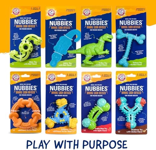 Arm & Hammer Nubbies Gator Dog Dental Chew Toy, Mint Flavor, 2-Pack