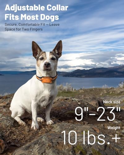 Precise Wireless Dog Fence ±1 Ft Boundary Control, 3-in-1