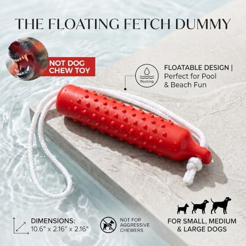 Floating Dog Water Pool Toys,Outdoor Interactive Toy 10.6 Inch EVA