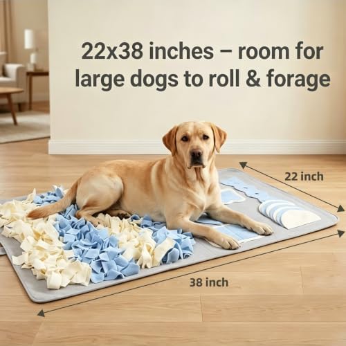 Snuffle Mat for Dogs: Slow Food Interactive Experience