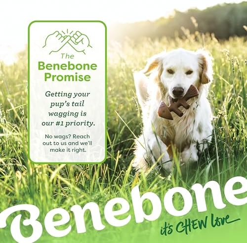 Benebone 2-pack Fishbone/Wishbone Durable Dog Chew Toys, Dog Bones, Large