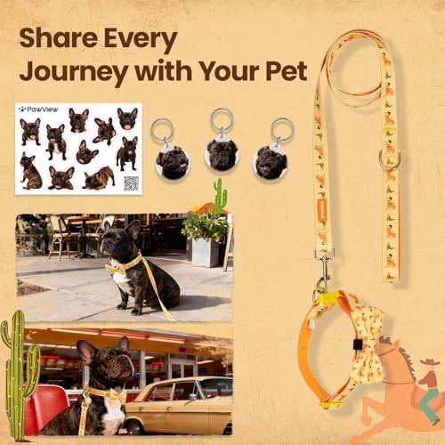 Brindle French Bulldog Polyester Dog Collar and Leash Set with Bowtie, Smart & Safe Design, Includes 1 ID Tag + 3 Frenchie Dog Tags for Instant Location & 2 Sticker Sheets,Gift Set,M