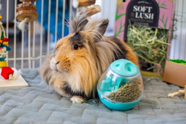 Oxbow Enriched Life Wobble Teaser Toy for Rabbits, Guinea Pigs, Hamsters, Rats
