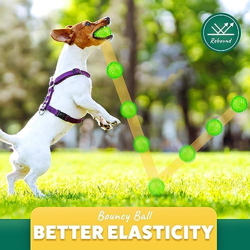 PUPTILY 2 Different Functions Interactive Ball for Dogs 2.5” Squeaky Dog Balls Toys and Puppy Teething Chew Toy Balls for Small Dogs for Clean Teeth and Training (5Pcs)