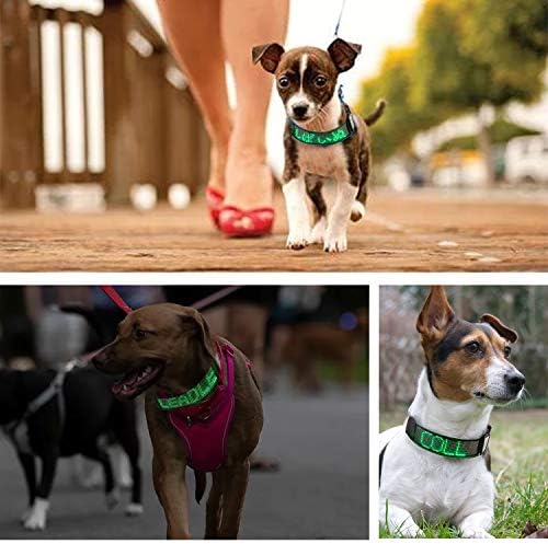 Leadleds Bluetooth LED Dog Collar, Flashing Light Up Rechargeable Pet Dog Safety Collar Glow in The Dark Light-up Neck Loop - Green LED