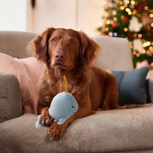Narwhal Dog Toy w/ Squeaker | Whale Dog Toy | Squeaky Plush Narwhal | Whale Stuffed Squeaky Chew Dogs Toys | Realistic Animal Dogs Toys | Interactive Squeaky Whales | Small/Medium Breed | Blue | 8"