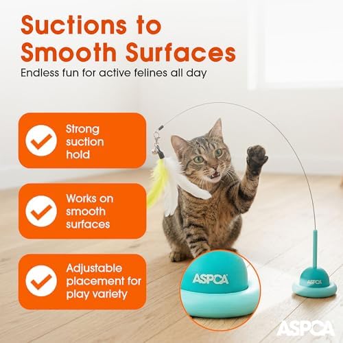 ASPCA Suction Cup Cat Toy Interactive Wand, Self Play Cat Toy for Indoor Cats, Attaches to Smooth Surfaces, Teaser Wand for Chasing, Batting & Enrichment, Blue
