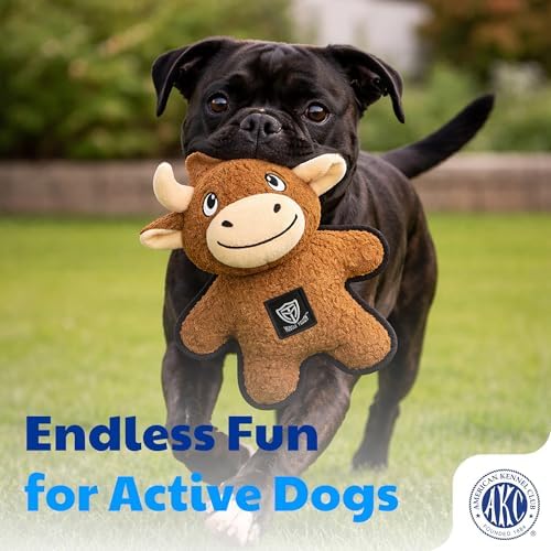 American Kennel Club Plush Dog Toy with Squeaker for Moderate Chewers, Soft Stuffed Dog Toy for Tugging, Fetch & Interactive Play, Gentle on Teeth