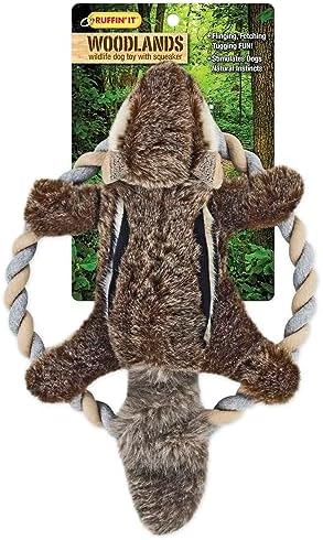 RUFFIN' IT Woodlands, Plush Chipmunk Dog Toy with Rope Chew Ring, 11.5 in