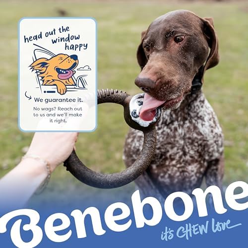 Benebone Ring Dog Chew Toy for Aggressive Chewers, Blueberry, Medium