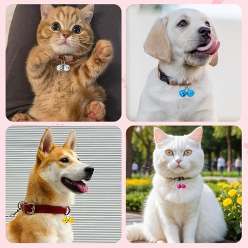 PETKNOWS 6 Pack Pet Bells for Dog Cat Collars, with Metal Keychain Clip