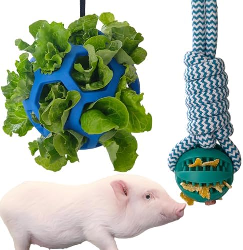 2PCS Pig Enrichment Toys, Mini Pig Supplies, Hanging Chew Ball with Rope + Replaceable Feeder Foraging Ball, Interactive Pig Enrichment Toy Set for Pigs, Treat Dispensing & Chew Activity Toy