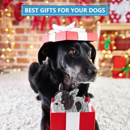 Letsmeet Squeaky Plush Dog Toy for Puppies, Small and Medium Dogs, Interactive Crinkle Stuffed Animal for Teething and Boredom, Soft Chew Toy to Keep Them Busy