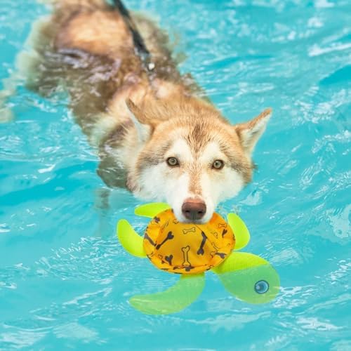 PUPTECK Floating Pool Toys for Dogs - 2 Pack Squeaky Pet Water Toys for Fetch & Training, Interactive Summer Outdoor for Large Small Medium Dogs, Turtle & Lobster