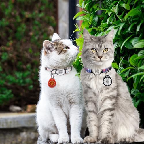QR Code Smart Pet ID Tag for Cats Dogs - Waterproof Durable Pet Identity Tracking Accessory No Fees & Privacy Protection Personalized for Dogs and Cats (Black Pink red Blue, M)