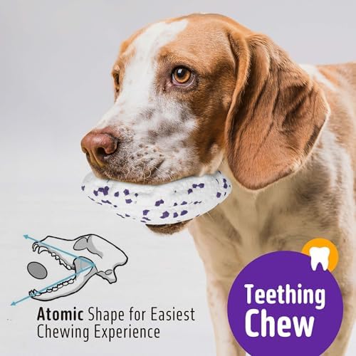 Kimee Dog Balls Tennis Balls Dog Chew Toys for Aggressive Chewer 3Pcs 5.3''