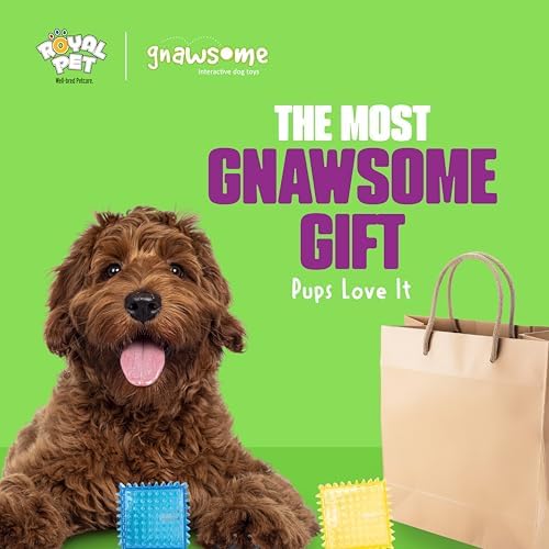 Gnawsome Dog Toys - 3.5" Squeaker Cube - Medium - Dental & Gum Wellness - Stimulating Fun - Hidden Squeaker - Durable for Heavy Chewers - 100% BPA-Free - Assorted Colors
