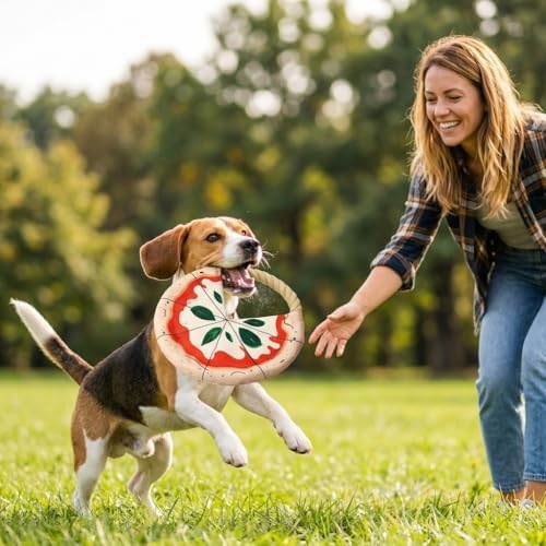 Dog Frisbee 2 Pack Pizza Pattern with Rope - Cotton Knot Oxford Fabric Flying Disc for Small Medium Dogs Indoor Outdoor Fetch Tug Toy