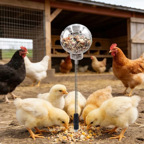 Chicken Treat Dispenser, Chicken Enrichment Toys with Spring and Ground Stake, Feeder for Coop, Coop Accessories for Hens, Geese, Ducks, Turkeys, Other Poultry