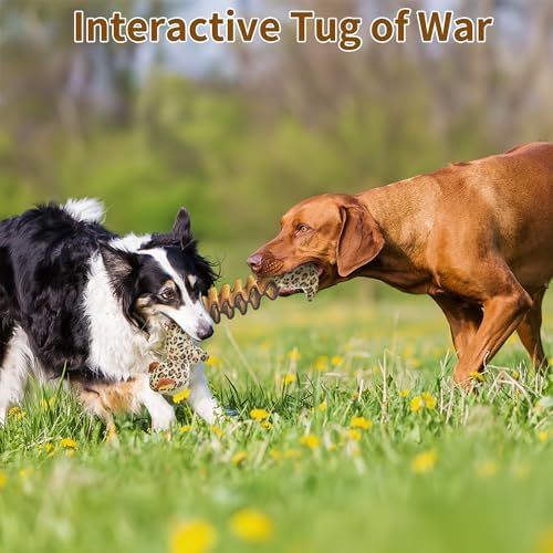 Plush Dog Toys - Squeaky Interactive Dog Toy for Large Breed with Elastic - Enriching Pet Enrichment and Puppy Toy- Tug of War Pet Toys (Leopard)…
