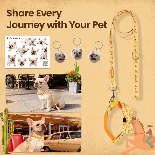 French Bulldog Polyester Dog Collar and Leash Set with Bowtie, Smart & Safe Design, Includes 1 ID Tag + 3 Frenchie Dog Tags for Instant Location & 2 Sticker Sheets, Stylish Gift Set, M