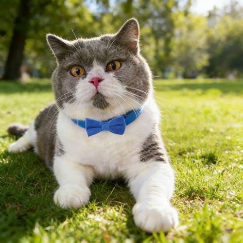 THAIN Personalized Cat Collar with Bell and Bowtie Breakaway QR Code Name Smart ID tag Quick Release Soft Comfortable Collar for Cats and Kittens (Royal Blue)