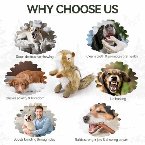 ALL FOR PAWS Chipmunk Squeaky Doy Toy, Squirrel Dog Toy for Small Medium Breed, Puppy Fetch Toy with Squeaker, Plush Chew Dog Toy, Classic-Chipmunk S