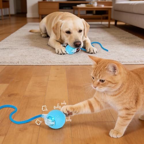 Cat Toy, Electric Interactive Toys for Indoor Cats, Blue
