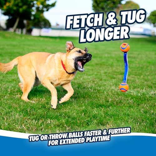 Chuckit! Ultra Duo Tug Dog Toy, Medium 2.5in, Orange and Blue, 20-60lbs