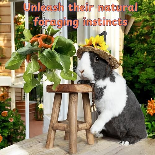 Rabbit Treat Ball Bunny Enrichment Toys with Stainless Steel Hanger Set, Veggie Feeding Rabbit Ball Toy for Bunny Hedgehog Tortoise Guinea Pig Rabbits, Pets Treat Balls Accessories (Orange)