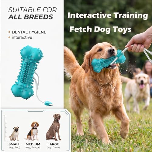 Natural Rubber Bone Dog Chew Toy, Tough Toy for Aggressive Chewers
