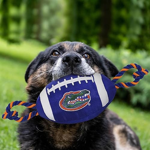 Pets First NFL Unisex NFL Nylon Football