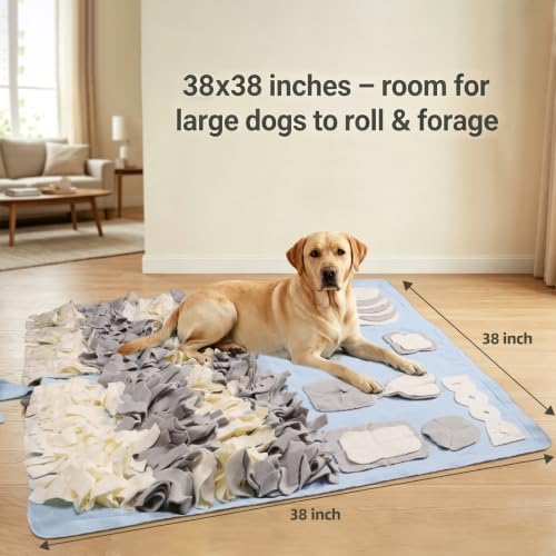 Snuffle Mat for Dogs: Slow Food Interactive Experience