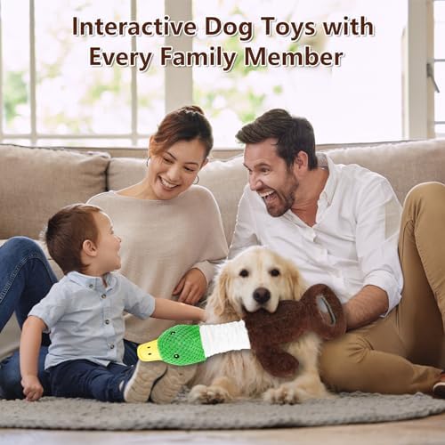 Drmstow Plush Dog Toys for Large Dogs, Duck Stuffed Squeaky Dog Chew Toy with Crinkle Paper, Interactive Pull Puppy Toys - Tug of War Dog Toys for Big Medium Samll Dog