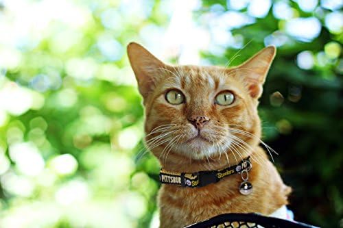 Pets First COLLAR for CATS - NFL PITTSBURGH STEELERS CAT COLLAR. - Strong & Adjustable FOOTBALL Cat Collars with Metal Jingle Bell