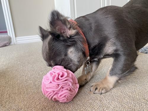 Glory To Dog Puppy/Small Breed Snuffle Dog Puzzle Ball Toy Pink Extra Small