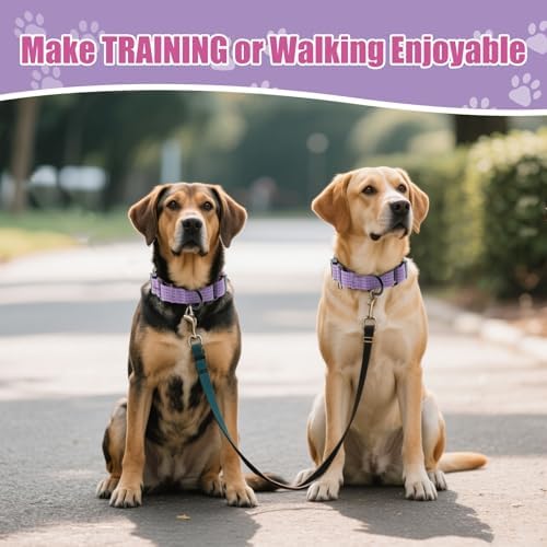 Martingale Dog Collar, Reflective No Pull,Lavender, XS