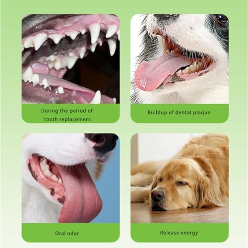 Interactive Knot Design Tentacle Dog Toy with Treat Dispensing Holes for Chewing Teeth Care Rubber Slow Feeding Entertainment Slow Feeder Dog Toy with Treat Dispenser
