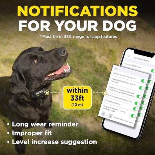 Dogtra Smart NOBARK with Titanium Contact 3/4" | Smart Bark Detection for Whining & Barking, 33 ft Range, App Notifications, Behavior Report, Waterproof, 10 lbs+, Ideal for Short-Haired Dogs
