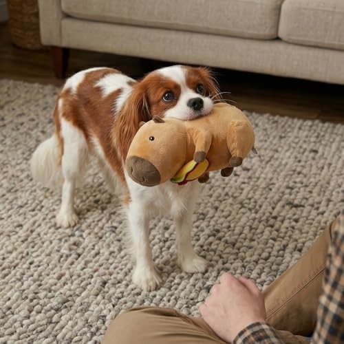 SPOT Capybara with Taco Plush Dog Toy, Soft Stuffed Squeaky & Crinkle Toy for Calm and Gentle Play, Adorable Capybara, for Light Chewers and Small Dogs, 8 Inch