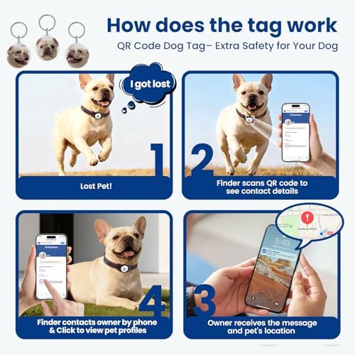 French Bulldog Leather Dog Collar with Holder for AirTag, Gift Set with 3 Frenchie QR Code Dog Tags (Dual Safety) & 2 Sticker Sheets, Personalized Accessories for Safety,Black,M