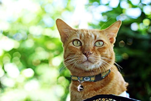Pets First COLLAR for CATS - NFL GREEN BAY PACKERS CAT COLLAR. - Strong & Adjustable FOOTBALL Cat Collars with Metal Jingle Bell