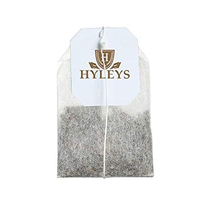 HYLEYS Organic Green Tea, Acai Berry and Blueberry Flavor, 150 Individually Wrapped Tea Bags (6 Pack of 25) - USDA Organic - Kosher & Vegan