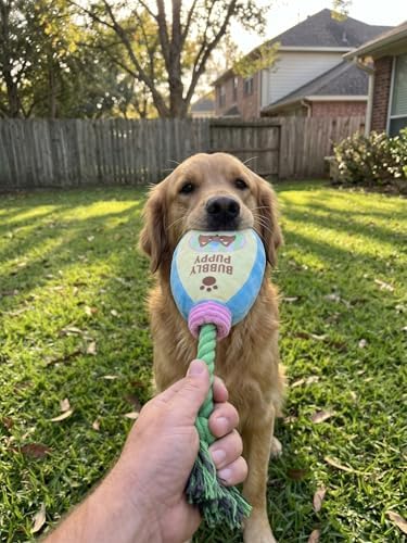 2-Pack Funny Squeaky Dog Toy Bundle - Cute Body Wash & Shower Head Plush Set - Interactive Spa Themed Soft Stuffed Toys for Puppies, Small & Medium Dogs - Dog Bath Time Gift