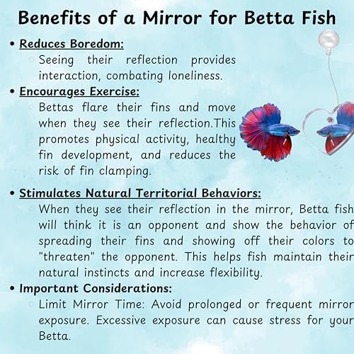 Betta Ring and Mirror Toy for Aquarium, 2 pcs Betta Ring Enrichment Toys, Floating Exercise Mirrors for Fish Tank and Training Feeding Rings, Fish Toys, Aquarium Accessories (Black, M-Heart)