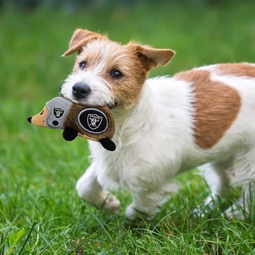 NFL LAS Vegas Raiders Plush Hedgehog Toy for Dogs & Cats, Cool Soft Pet Toy for Fun and Interactive Play, Dog Chew Toy with Squeaker, Licensed Hot Pet Toy