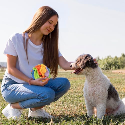 Andiker 5.9" Snuffle Ball for Dogs, Plush Colorful Interactive Snuffle Ball Hide Treat Dog Puzzle Toy for Relieving Boredom and Training Machine Washable Dog Balls for Small Dogs (Rainbow, S)