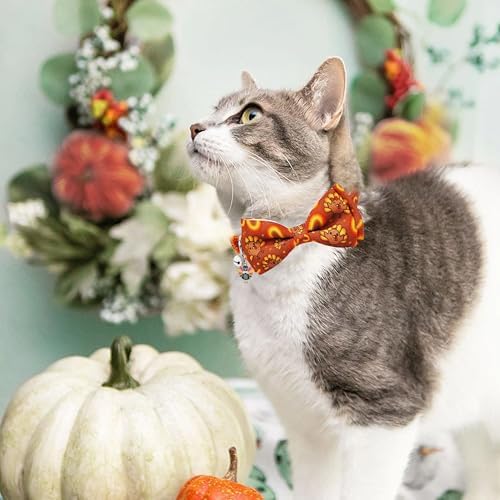 Fall Thanksgiving Harvest Cat Collar with Removable Bow Tie and Bell, Holiday Safety Breakaway Collar with Turkey and Pumpkin Spice Pattern for Boys and Girls Kitties Kittens